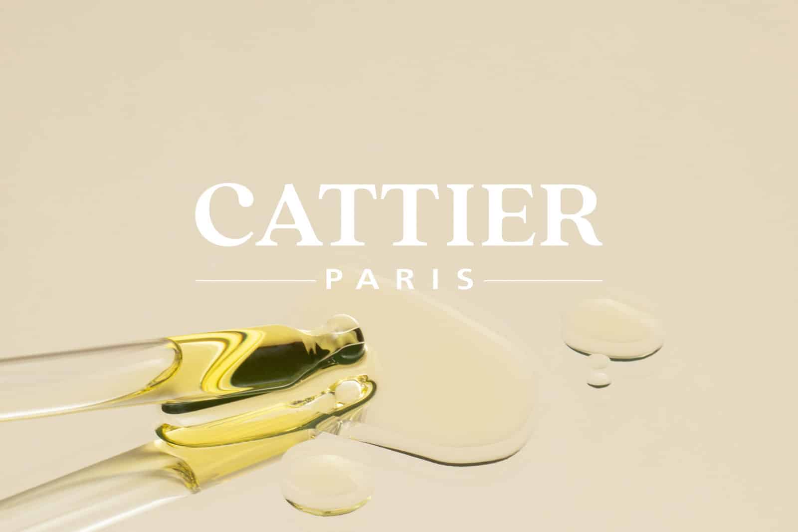 Cattier / Content Creation